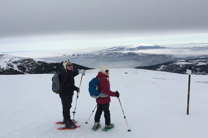 Snowshoe to Cherni Vrah: Full-Day Vitosha Mountain Winter Hike from Sofia photo 5