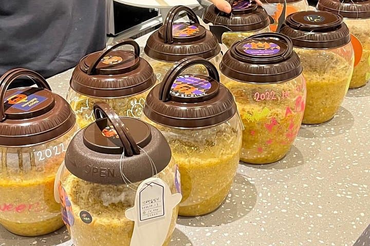 Hands-On Makgeolli Brewing Workshop in Seoul Forest — Brew & Taste Korea's Traditional Rice Wine photo 2