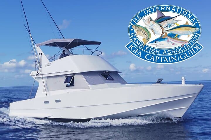 Blue Marlin Big-Game Fishing with IGFA Captain Vic — Mauritius Half-Day