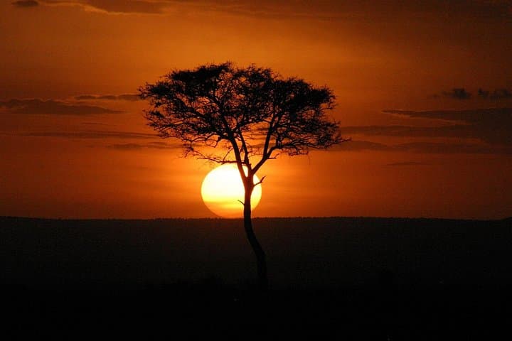 Ngorongoro Crater Day Safari from Moshi: Full-Day Game Drive & Picnic photo 3
