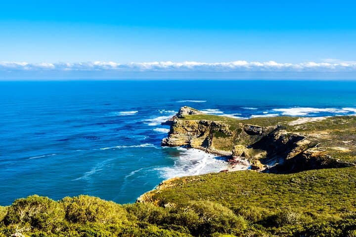 Cape Town Full-Day: Table Mountain, Penguins & Cape of Good Hope Small-Group Tour photo 6