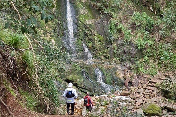 Table Mountain Guided Day Hike & Trail Run — Cape Town's Classic Routes