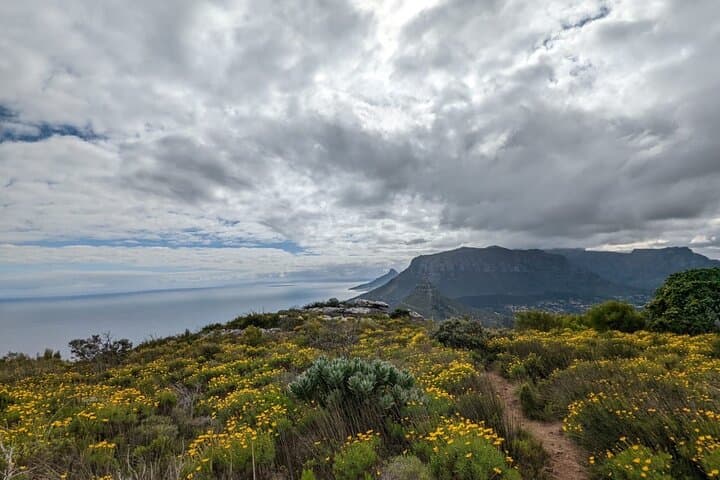 Table Mountain Guided Day Hike & Trail Run — Cape Town's Classic Routes photo 4
