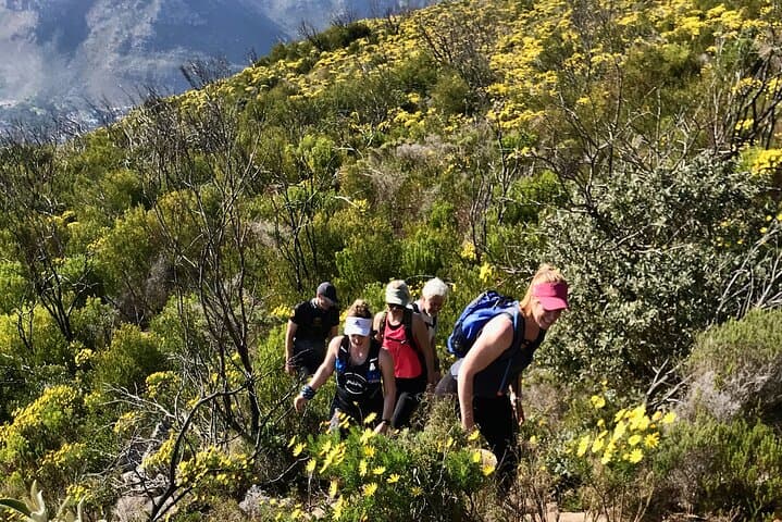 Table Mountain Guided Day Hike & Trail Run — Cape Town's Classic Routes photo 6