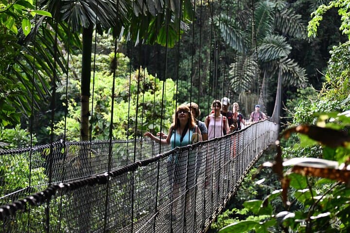 Hanging Bridges Walk in Costa Rica — Arenal Canopy Trail (3.2 km) photo 3