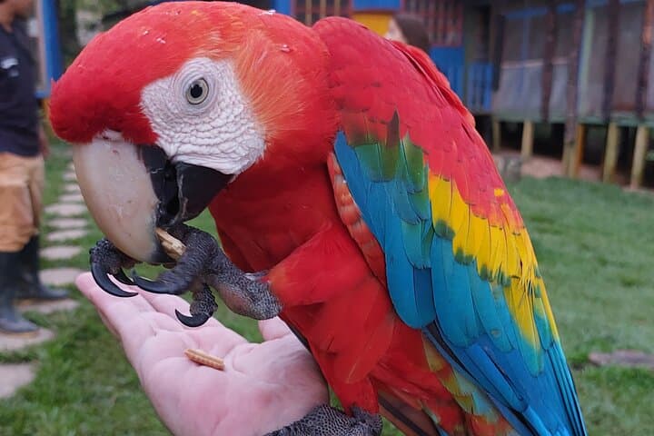 5-Day Amazon Culture & Nature Immersion from Leticia photo 3