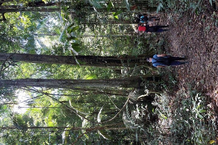 5-Day Amazon Culture & Nature Immersion from Leticia photo 4