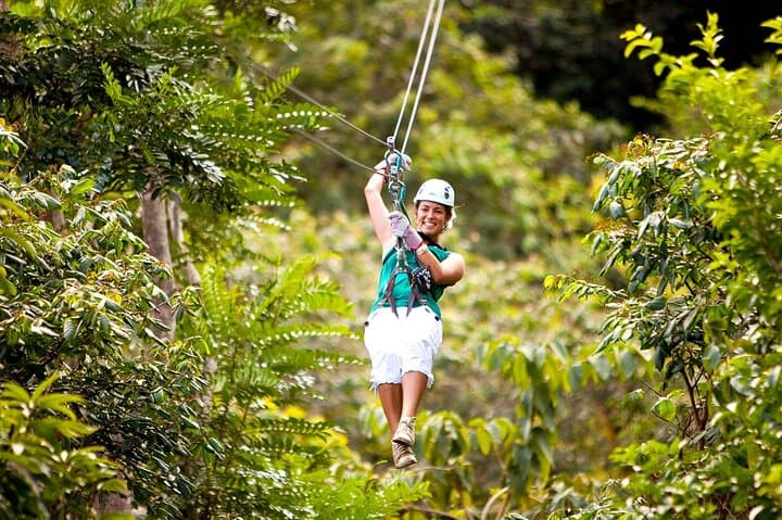 YS Falls Zipline & Canopy Countryside Private Day Trip from Montego Bay