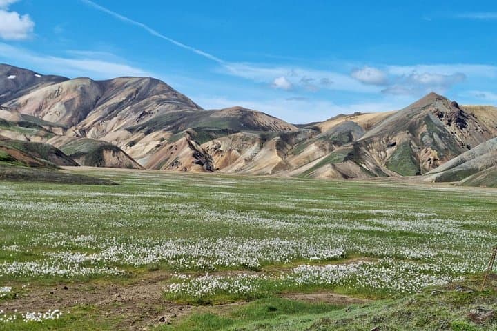 Private Day Trip to Landmannalaugar from Reykjavík: Highlands Hike & Geothermal Pool photo 2
