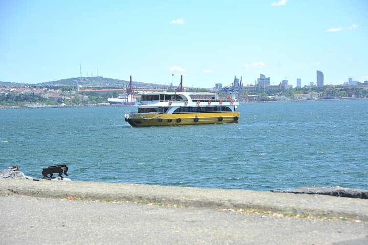 Bosphorus & Golden Horn Cruise with Audio Guide — Istanbul Sightseeing by Boat photo 5
