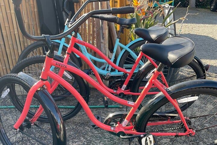 Solana Beach All-Day Beach Cruiser Bike Rental & Coastal Ride photo 1