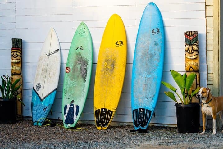 All-Day Surfboard Rental at Fletcher Cove, Solana Beach — Jerry Lopez 8ft Beginners photo 2