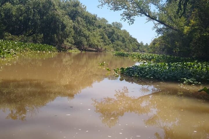 Nautical Safari in Tigre Delta: Private Boat Tour through the Paraná Delta photo 3