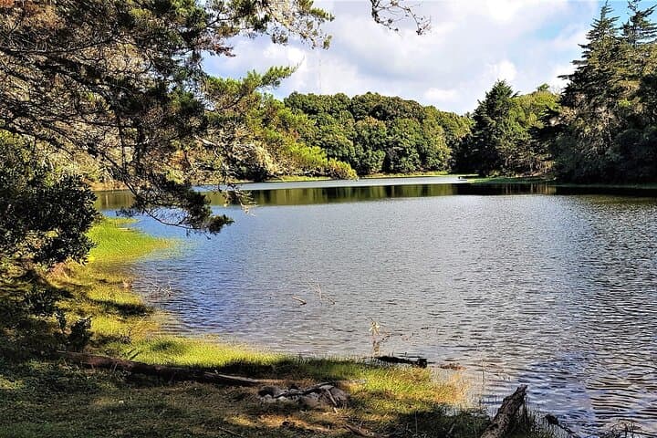 Scenic Private Transfer: Monteverde to San José with Two Curated Stops photo 6