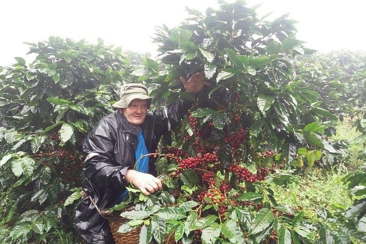 Hands-On Coffee Farm Experience Near La Fortuna: 2-Hour Cabanisi Tour photo 3