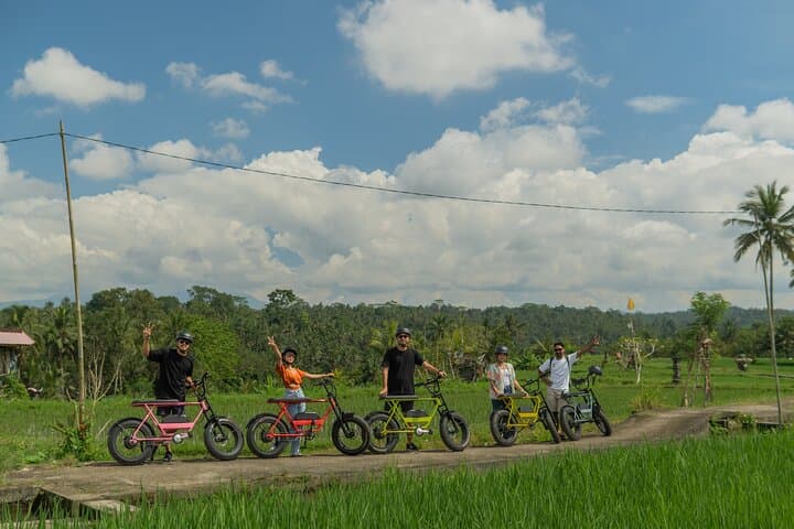 Half-Day Electric Fat Bike Tour of Ubud — Ride Tegalalang's UNESCO Rice Terraces