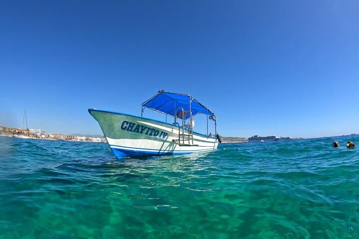 Cruise El Arco: Boat Tour of Cabo San Lucas Arch & Rock Formations