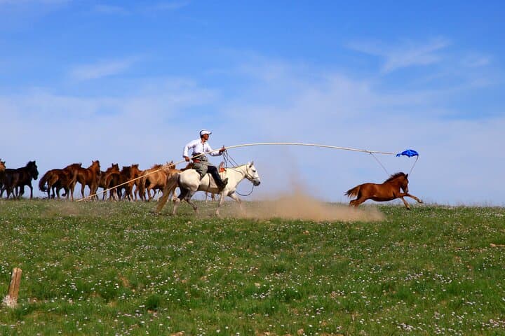 Nomad Ride: Horseback Through Terelj National Park from Ulaanbaatar photo 4