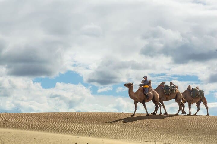 Essence of Mongolia: 3-Day Ger Stays, Dunes and Wild Takhi Horses photo 2