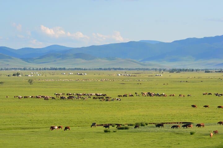 Essence of Mongolia: 4-Day Ger Camp, Dunes & Wild Takhi Horses photo 2