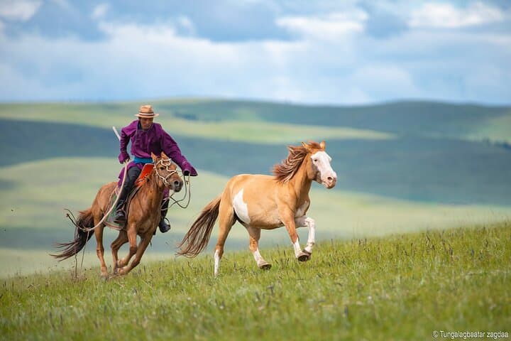 Essence of Mongolia: 4-Day Ger Camp, Dunes & Wild Takhi Horses photo 3