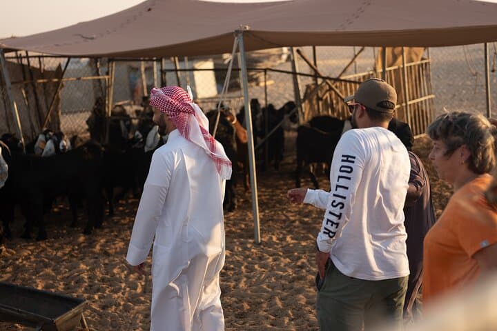 Sunset at a Bedouin Camel Camp: Doha's Hands-On Desert Experience photo 5