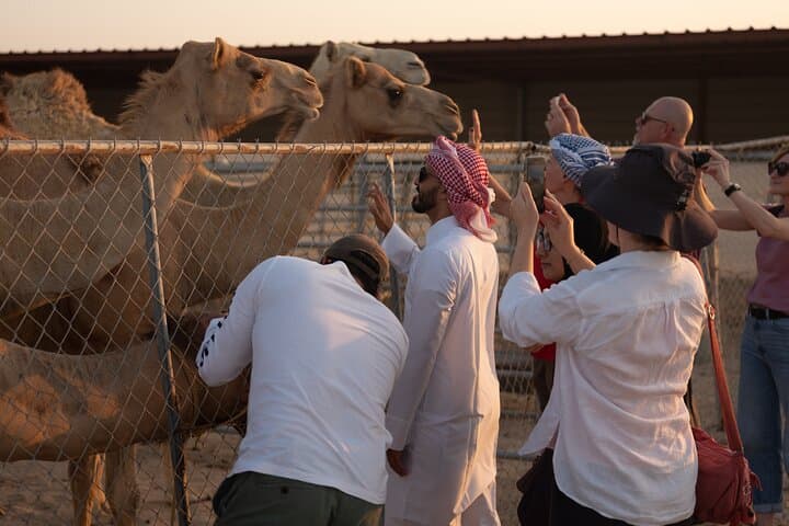 Sunset at a Bedouin Camel Camp: Doha's Hands-On Desert Experience photo 3