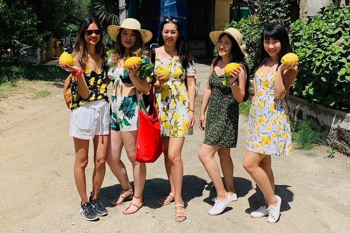 Sorrento Lemon Grove Tour: History, Tasting & Limoncello on the Peninsula photo 4