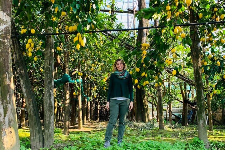 Sorrento Lemon Grove Tour: History, Tasting & Limoncello on the Peninsula photo 2