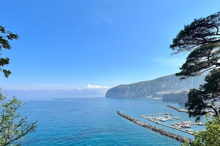 Sorrento Lemon Grove Tour: History, Tasting & Limoncello on the Peninsula photo 5