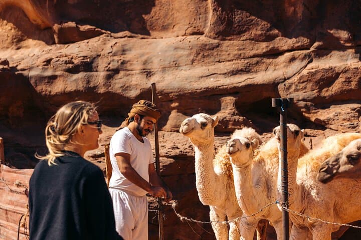 Wadi Rum Camel Tours: 2-Hour Bedouin Ride to Lawrence's Spring photo 4