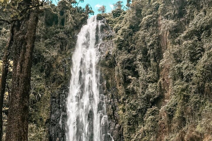 Materuni Waterfalls & Chagga Coffee: Half-Day Private Tour from Moshi photo 3