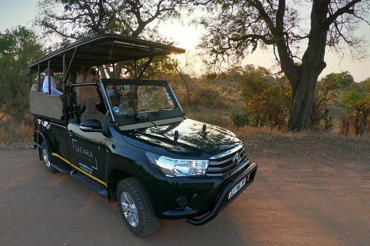 Afternoon Sunset Safari in Kruger National Park — Southern Section Game Drive photo 1