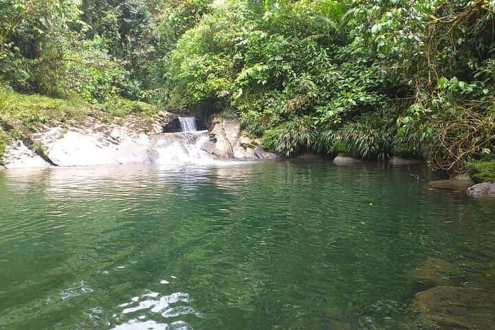 Private Amazon Jungle Tour from Puyo — Caves, Community & Lunch photo 5