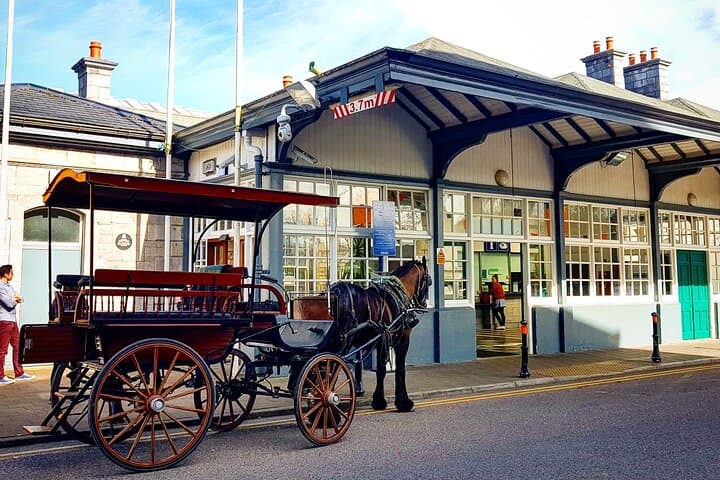Guided Killarney National Park Tour — Jaunting Car to Ross Castle photo 3