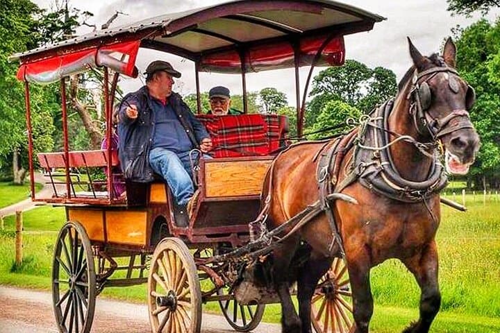 Guided Killarney National Park Tour — Jaunting Car to Ross Castle photo 6