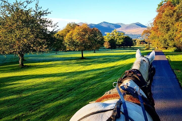 Guided Killarney National Park Tour — Jaunting Car to Ross Castle photo 4