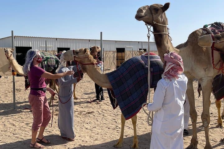 Doha Desert Safari & Inland Sea Tour — Camel Rides, Sandboarding and Dune Driving photo 4