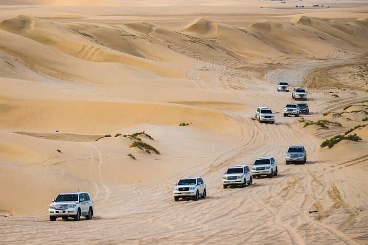 Doha Desert Safari & Inland Sea Tour — Camel Rides, Sandboarding and Dune Driving photo 6