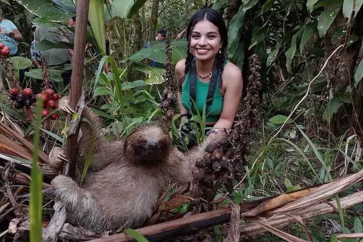 Rainforest Hanging Bridges & Sloth Sanctuary Tour from Liberia photo 3