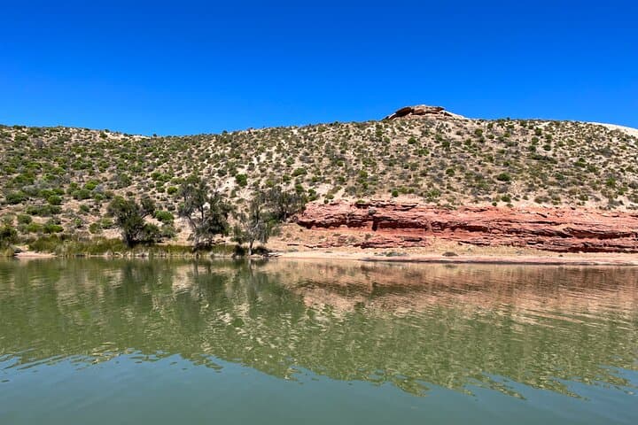 Morning Murchison River Cruise — Kalbarri Wildlife & River Mouth Experience photo 3