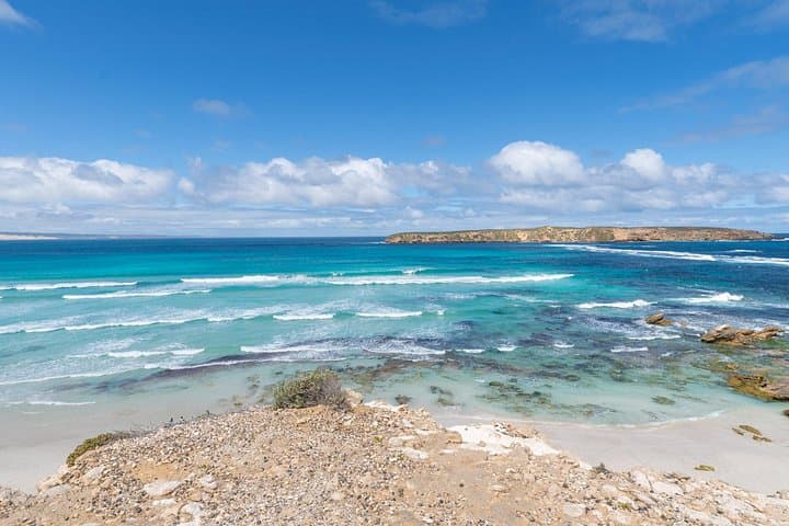 Coffin Bay National Park Half-day 4WD Tour — Sand Dunes, Emus & Reef Lookouts photo 2