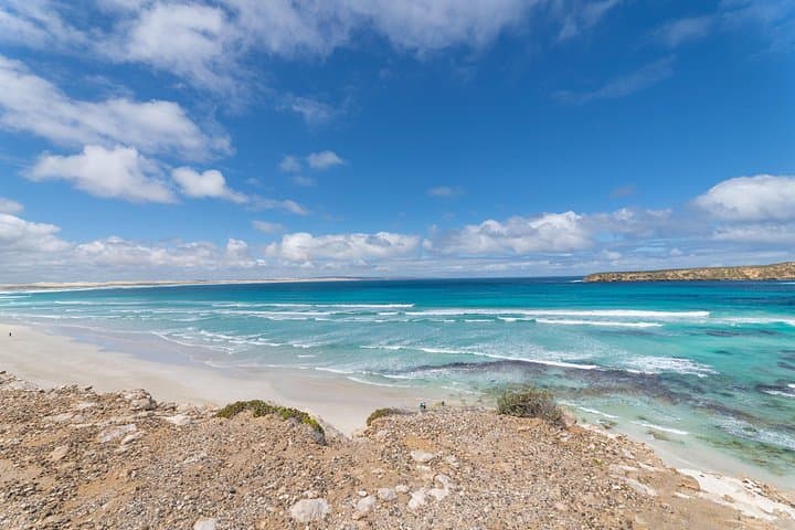 Coffin Bay National Park Half-day 4WD Tour — Sand Dunes, Emus & Reef Lookouts photo 4