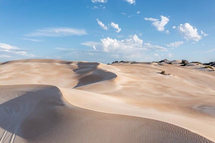 Coffin Bay National Park Half-day 4WD Tour — Sand Dunes, Emus & Reef Lookouts photo 1