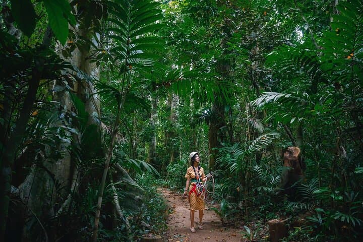 Vanuatu Skybridge: Mele Summit Suspension Bridge & Zipline Adventure photo 4