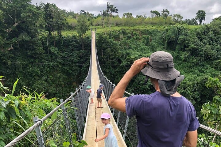 Vanuatu Skybridge: Mele Summit Suspension Bridge & Zipline Adventure photo 6