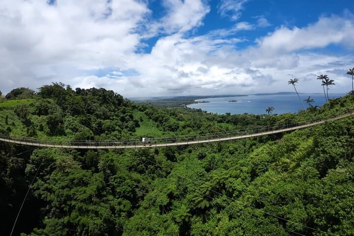 Vanuatu Skybridge: Mele Summit Suspension Bridge & Zipline Adventure photo 5