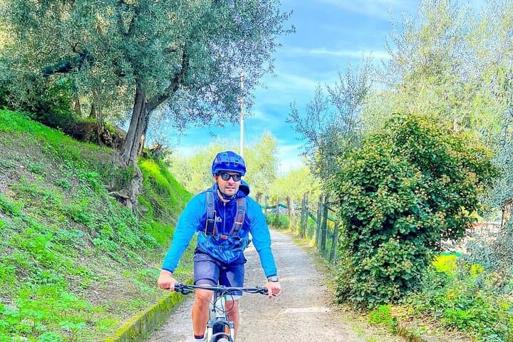 Sorrento Oil and Lemon e-Bike Tour: Olive Mill, Hillside Views & Tastings