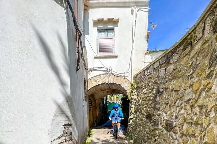 Sorrento Oil and Lemon e-Bike Tour: Olive Mill, Hillside Views & Tastings photo 2