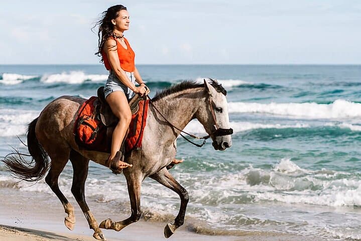 Sea and Desert Horseback Ride in Sharm El Sheikh photo 3